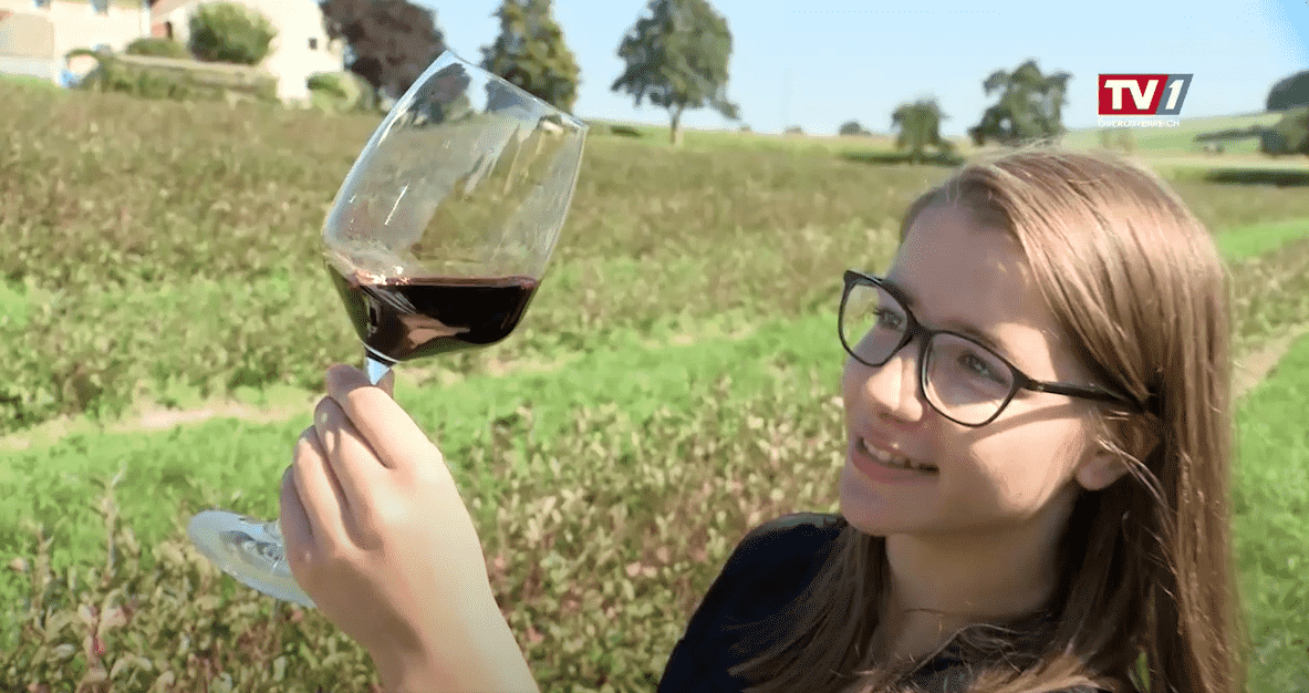 Video laden: Aronia TV1 Video